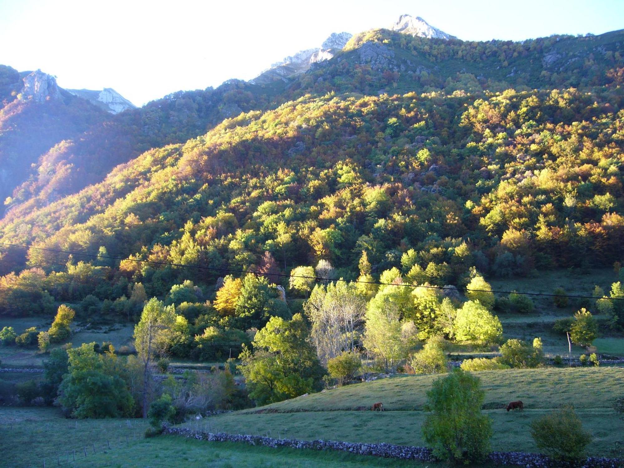 La Corona Del Auteiro Valle de Lago Екстер'єр фото